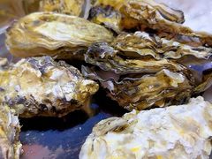 -日食记精菜馆(建邺万达店)