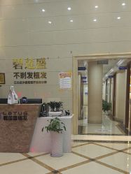 -碧莲盛·不剃发植发