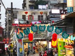 -猫咪博物馆(顶澳仔猫街店)