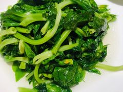 清炒豆苗-鼎泰丰(德基广场店)