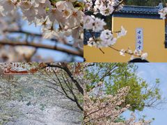 -鸡鸣寺