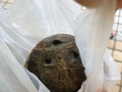 -椰爺爺·椰子冻砵仔糕