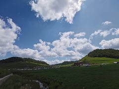 -关山草原