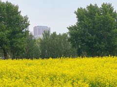 -长白岛森林公园