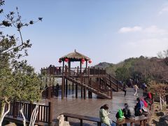 -南京市无想山景区