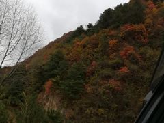 -黑河国家森林公园