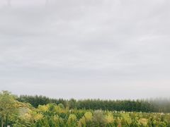 -阅海欢乐岛