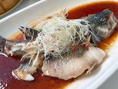 清蒸桂鱼-院8里·少城记忆老川菜(宽窄巷子店)