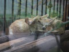 -昆明动物园