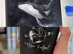 -Cetus coffee鲸鱼座咖啡·拼豆(二仙桥公园店)