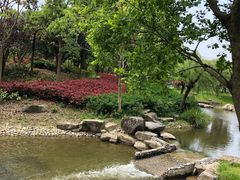 -宁波九龙湖开元度假村