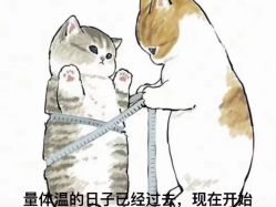 -Oasis Beauty水磨坊科技美肤中心