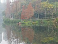 -重庆彩云湖湿地公园