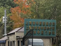 -上海市中医医院(石门路院区)