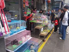 -青石桥花鸟鱼虫市场(叠翠城店)