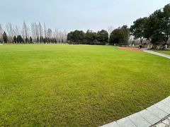 -合肥滨湖国家森林公园