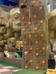 -卡通尼·Safari非洲探索乐园·生日会(金桥国际商业广场店)