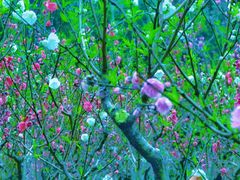 -桃花涧