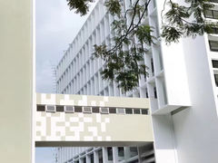 -香港大学