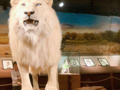 -陕西自然博物馆