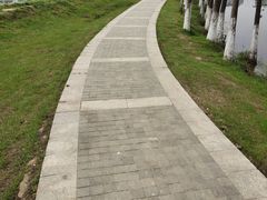 -艾溪湖湿地公园