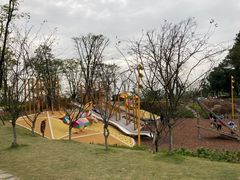 -铁山坪森林公园