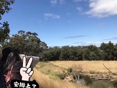 -威勒比开放式动物园