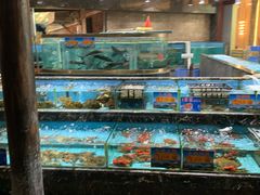 水产区-顺风山庄(水濂山店)