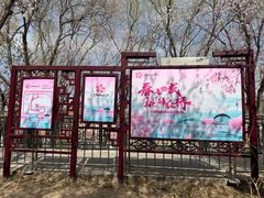 -桃花堤公园