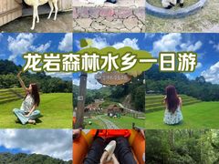 -龙岩森林水乡景区