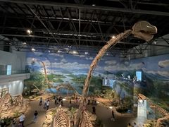 -自贡恐龙博物馆