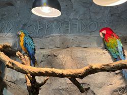 点击看大图 -Zoolung Zoolung动物主题公园(海信广场店)