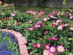 -上海植物园·停车场