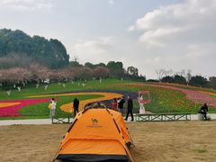 -秀丽东方