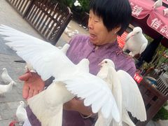 -茯茶镇