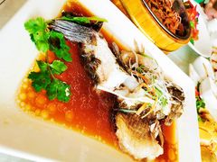 清蒸笋壳鱼-新恬乐大酒家(沧达大厦店)