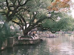 -西溪国家湿地公园