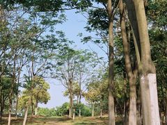 -钟山体育运动公园