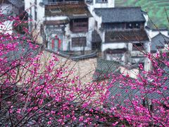 -婺源风景区