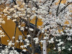-龙华寺