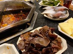 木耳-巴国口福火锅(石桥铺店)