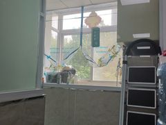 -狗舍宠物医院(四季商业广场店)