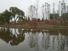 -东郊湿地公园