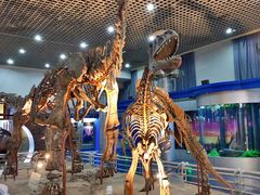 -国家自然博物馆