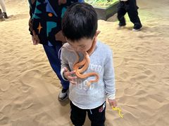 -厦门园林博览苑