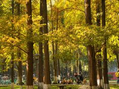 -四川大学(望江校区)