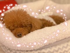 -美联众合24小时·皮肤科·外科·全科诊疗中心(华苑分院)