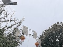 -老杨砂锅鱼庄