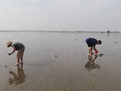 -奉贤海滩