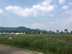 -天适樱花悠乐园